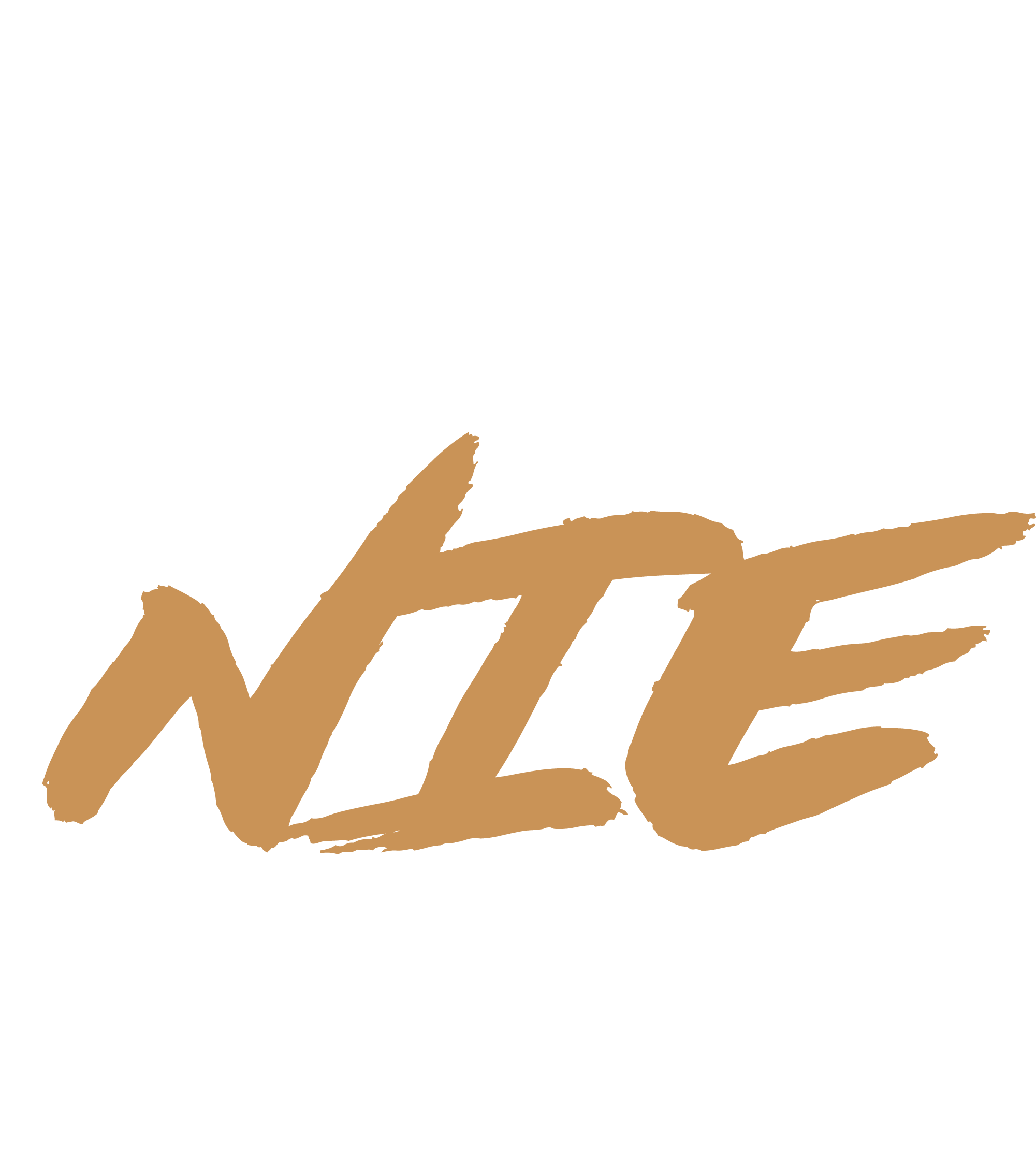 Logo des Projekts „Gib nie auf“: Schriftzug NIE